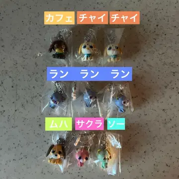 오챠이누 카페 차이 란 무하 사쿠라 소 오챠네코 초코보로