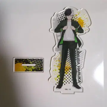 WINDBREAKER 사쿠라 하루카 아크릴 스탠드 아크스타 레어