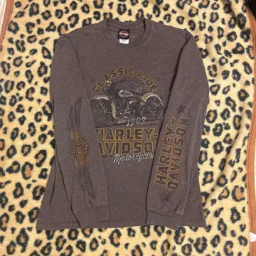 Harley-Davidson 롱티