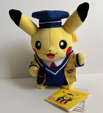 먼슬리 피카츄 3월 택 포함 포켓몬 센터 피카츄 졸업