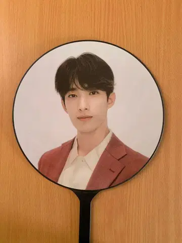 SEVENTEEN DK 부채 월드 투어