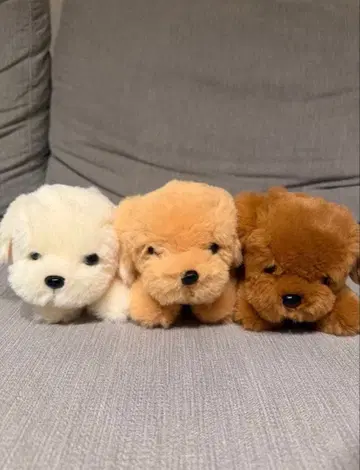 [ 3마리 세트 ] 골든 리트리버 강아지 봉제 인형