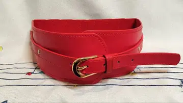 레드 골드 버클의 이중 벨트