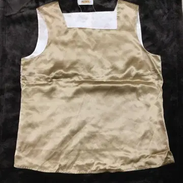 Talbots 실크 100% 리버서블 슬리브리스 상의 금 베이지 4