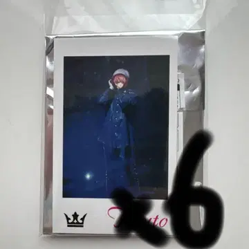 테루토 군 포토 카드 6장 세트