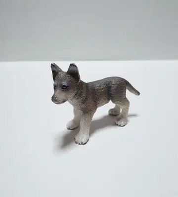 독일 벼룩시장 슐라이히 늑대 (새끼)