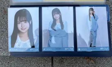 노기자카46 세토구치 신츠키 카라 부착 코디 브로마이드 3종 컴프