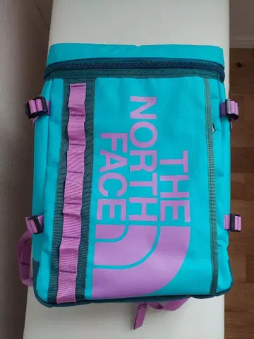 THE NORTH FACE 퓨즈 박스 21L