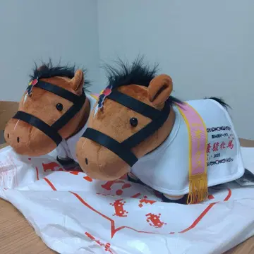 리버티 아일랜드 말 의류 코스튬 봉제 인형 서러브레드 컬렉션 2마리