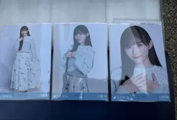 노기자카46 카와사키 사쿠라 카라 부착 코디 브로마이드 3종 컴프