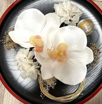 한정판 팔레놉시스 머리 장식 세트