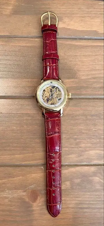 조르지오 로시 손목시계 자동 와인딩 Giorgio Rossi 워치