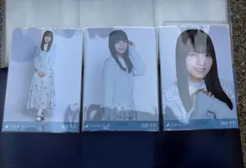 노기자카46 우미베 아카리 카라 부착 코디 브로마이드 3종 컴프