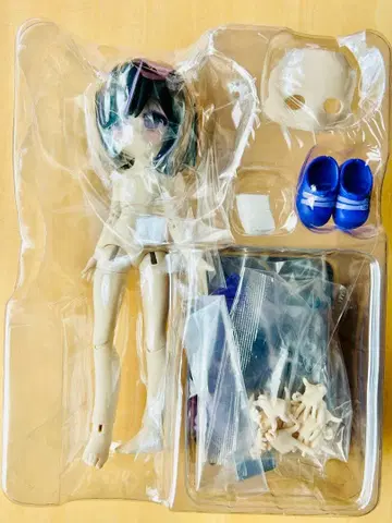 격동의 순간 만 번의 탈출 계획 고양이