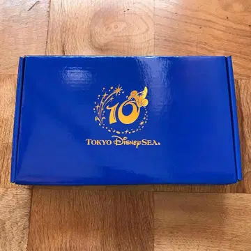 디지털 사진 프레임 도쿄디즈니씨 10주년 미사용품 익명 배송