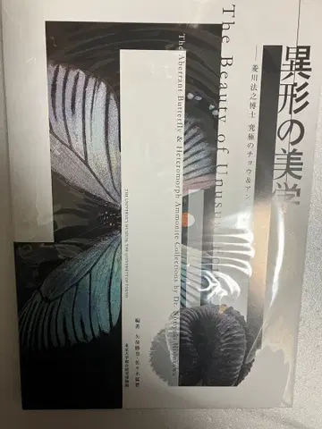 이형의 미학 궁극의 나비 & 암모나이트 컬렉션