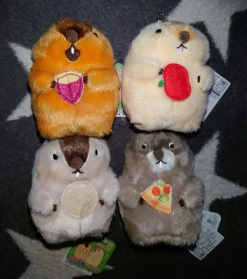 마모트의 마모토토 쁘띠블 마스코트