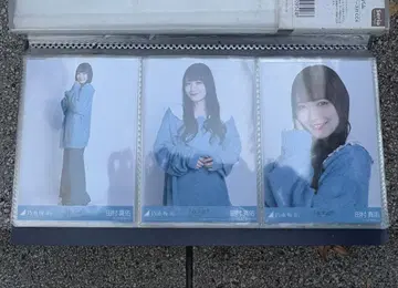 노기자카46 타무라 마유 카라 부착 코디 브로마이드 3종 컴프