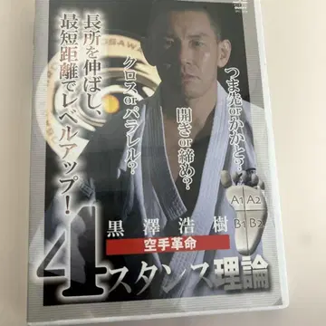 4 스탠스 이론 DVD 가라테