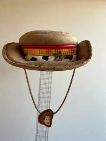 도쿄 디즈니 우디 모자, 슬링키 팬 머리띠 2개 세트