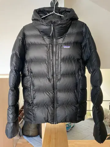 Patagonia Men's Fitz Roy Down Hoody