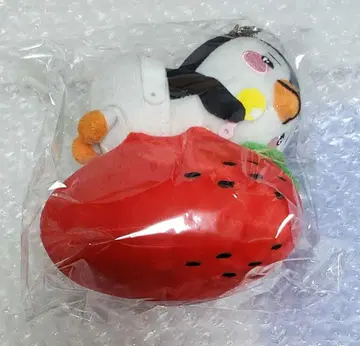 이준호 Midnight Sun 펭귄 백참