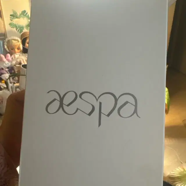 에스파 응원봉 포카X