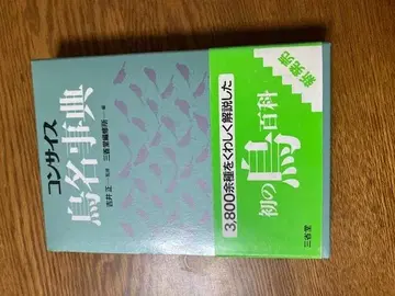 콘사이즈 새 이름 사전