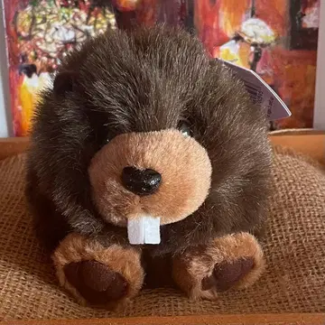 [ 구하기 어려움 ] Puffkins 비버 봉제 인형