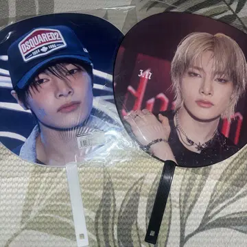 straykids 아이엔 부채