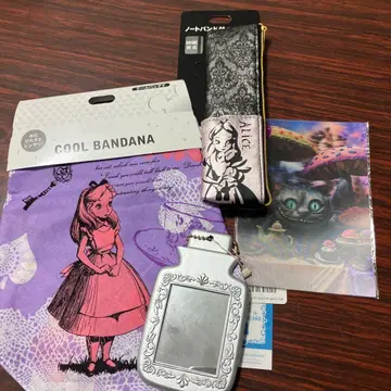 (11-241) 앨리스 쿨 반다나와 거울 세트