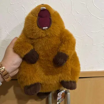 수컷 울음소리 마모트 음성 봉제 인형