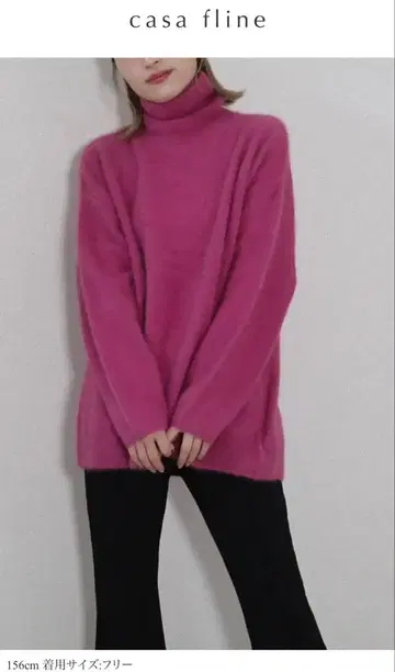 CASA FLINE 폭스 하이넥 니트탑