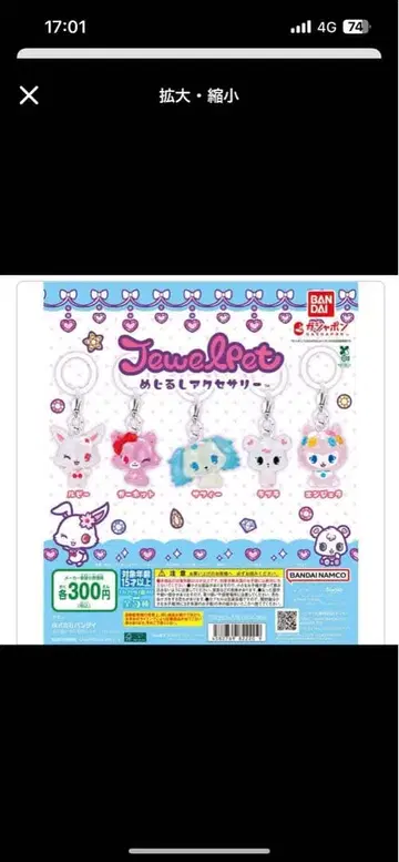 주얼펫 메지루시 액세서리