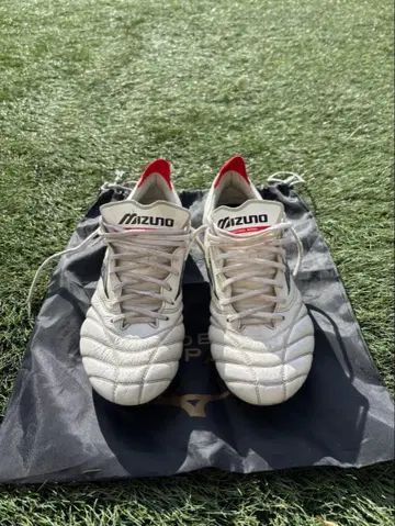 모렐리아 네오 IV 교체식