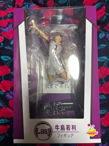 하이큐 우시지마 와카토시 라스트 원 Happy 복권