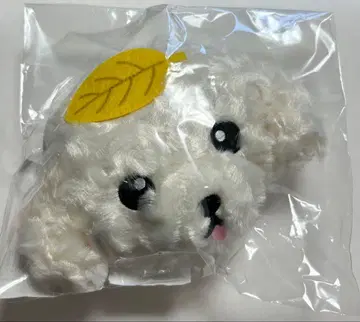 창민 (동방신기) 포치 파우치