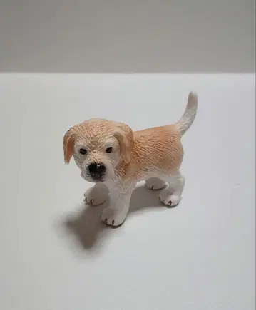 독일 벼룩시장 슐라이히 골든 리트리버