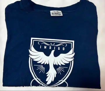 니지산지 페스티벌 T셔츠 인디고