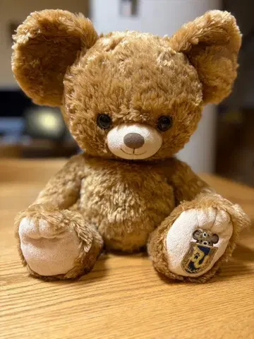 디즈니의 유니베어시티