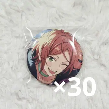 앙스타 아오이 히나타 이베코레 캔뱃지 2020 winter 30개