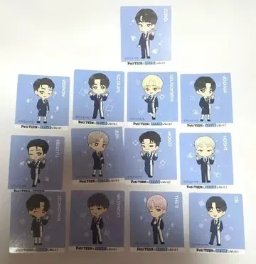 Peti TEEN 오리지널 스티커 13장 세트