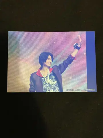 분붐저 한도 다이야 이노우치 유우히 브로마이드 생사진 초영웅제 2025