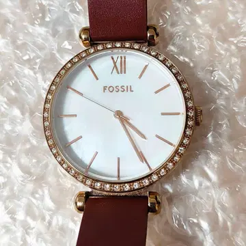FOSSIL 여성용 손목시계 BQ3968