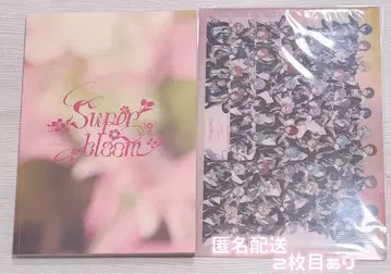 스타포니 팜플렛 클리어 파일 혜택 별책 세트