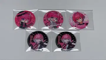 Meteorites 미카사 군 캔뱃지