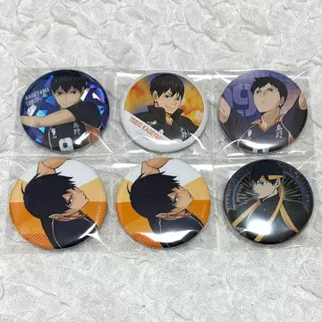 하이큐 카게야마 토비오 묶음 판매