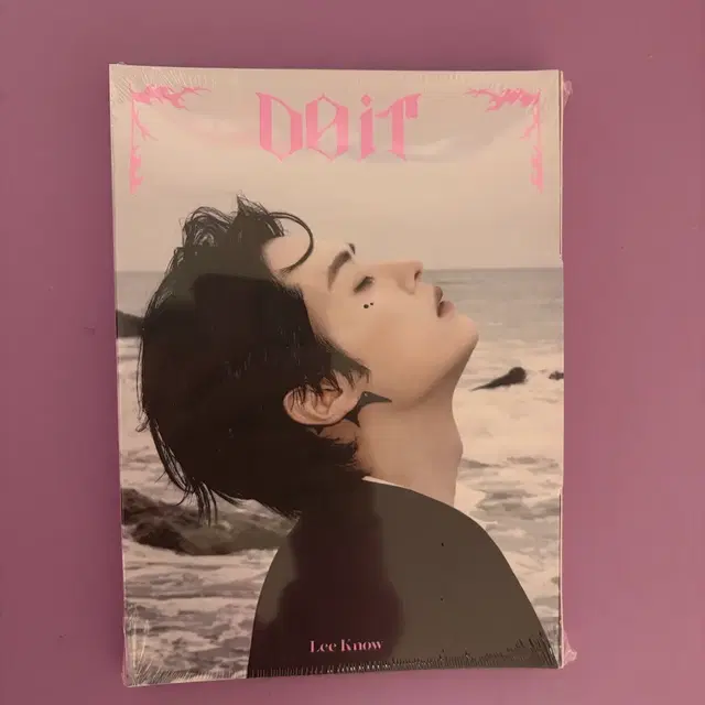 미개봉 스키즈리노 두잇 아코디언 앨범