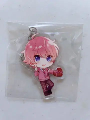 스토푸리 아크릴/사토미 복수 세트