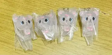 주얼펫 메지루시 액세서리 라브라